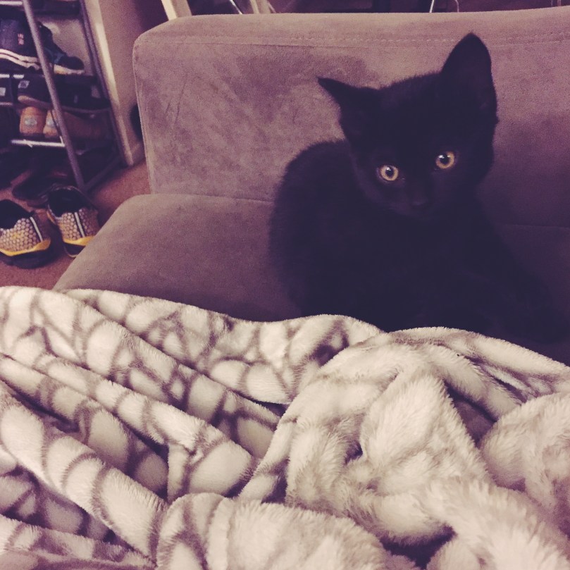 Processed with VSCOcam with f2 preset